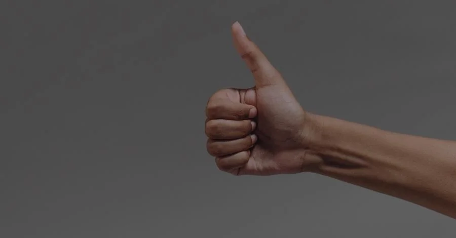 Guia Prático Para ler e Interpretar Artigos Científicos 4 artigo lido